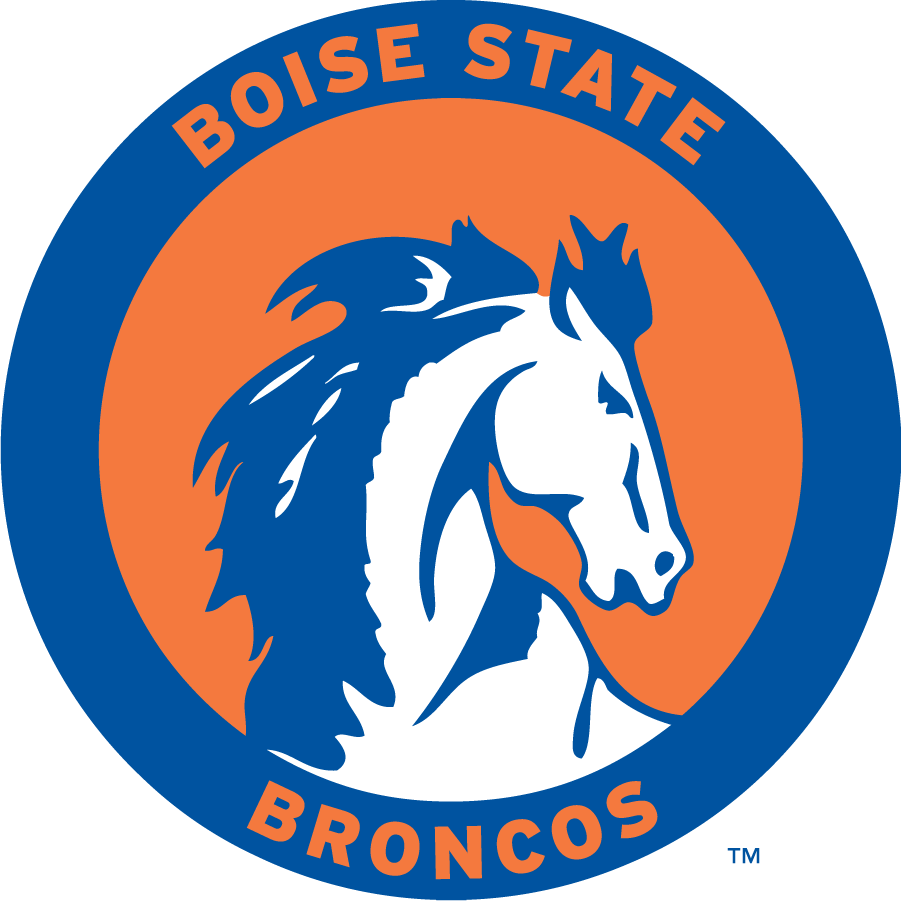 Boise State Broncos 1969-1974 Primary Logo DIY iron on transfer (heat transfer)